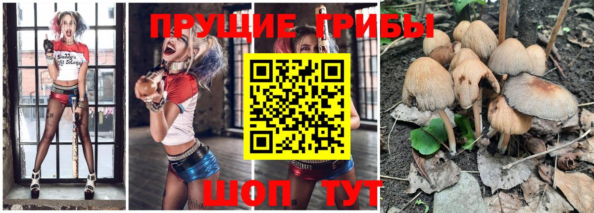 Псилоцибиновые грибы мухоморы  Вход с VPN  Ачинск 